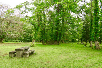 支笏洞爺国立公園　休暇村広場