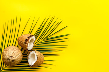 Exotic background with coconuts and palm leaves on yellow background top-down frame copy space