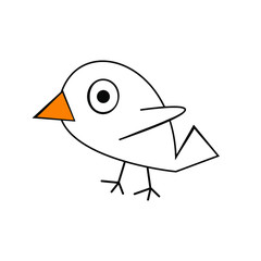 cute bird on white background