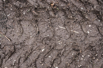 Tractor wheels' treads on dirt.