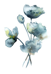 Watercolor flowers and buds. Watercolor abstraction