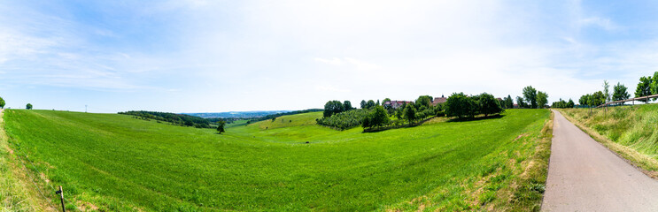 dirty road in summer green field