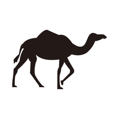 Camel icon vector illustration logo