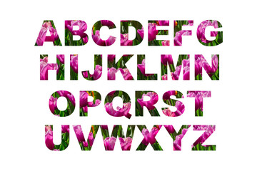 tulip summer alphabet, floral lettering on white backgound.