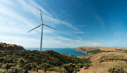 Fototapeta na wymiar Wind turbine/wind farm next to the Welliington New Zealand coastline