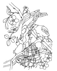 Bird coloring page feed the chicks in a nest on a flowering branch.