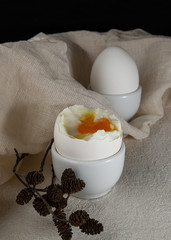 Soft boiled egg with white chicken egg in egg cup, alder cones