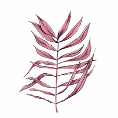 Palm leaf tropical pink on white background