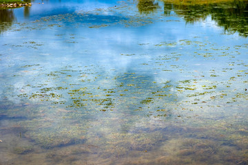 Clouds reflections on swamp water background.