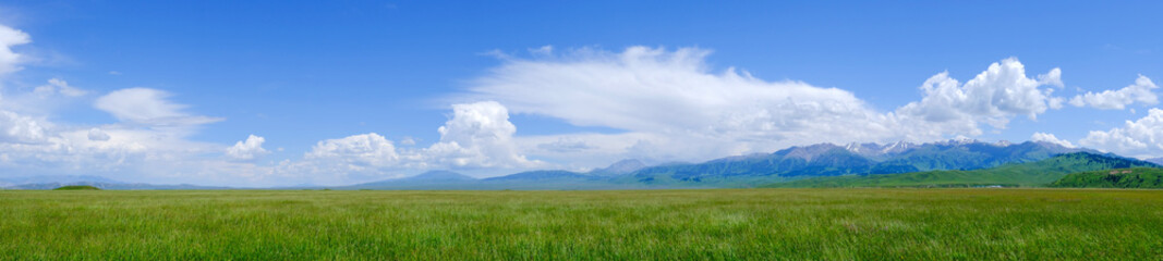 Panoramic landscape of green meadow with cloudy sky and mountains background. Beautiful meadow scenery. Adventure day. Mountain hiking. Mountain valley view. Spring season.