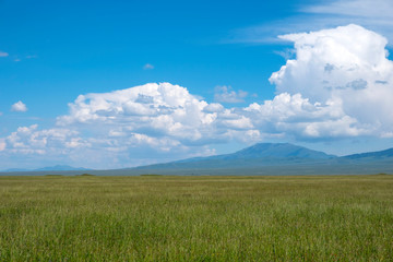 Obraz premium Green meadow with cloudy sky and mountains background. Beautiful meadow scenery. Adventure day. Mountain hiking. Mountain valley view. Spring season. 