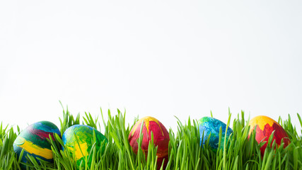 Easter eggs in green grass on a white background