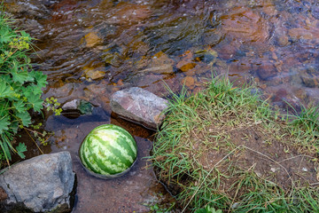 Watermelon cooling in river. Colorful travel background. Summer vacation concept.