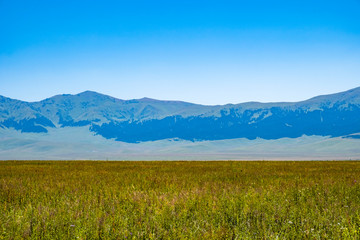 Beautiful green meadow with mountains and blue sky background, great design for any purposes. Beautiful landscape, grass. Colorful spring landscape. Mountain green hill valley landscape.