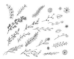 Vector hand drawn set of doodles branches, leaves, flowers for anniversary cards, wedding invitations, Valentines day cards.