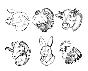 Hand drawn set of domestic animals. Cow, turkey, pig, rabbit, cock, ram. Farmer animals, vector illustration.