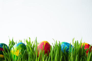 Easter eggs in green grass on a white background