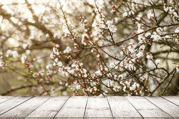 close-up look at wooden with morning bright