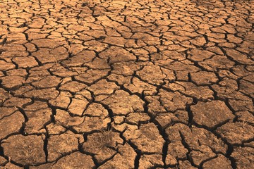 dry cracked earth