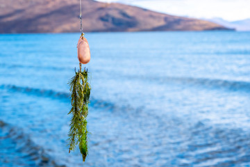 Seaweed on a in-line spinnerbait with unfocused lake and mountains background. Unsuccessful fishing...
