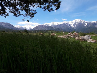 Zaamin Mountains