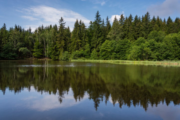 Mirroring in the water surface. Landscape of forests. 