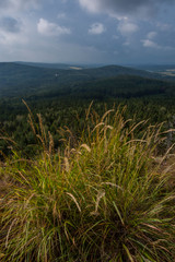 View to the landscape cloudy sky. In front of is clump grass.