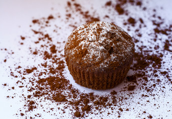 Confectionery, sweets, sweets. chocolate cupcakes, muffin cupcakes with cocoa topping on a white background. foodphoto isolate