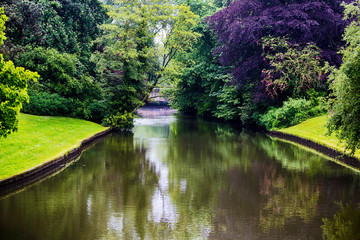 Obraz premium lake in the park