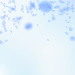 Dark blue flower petals falling down. Imaginative 