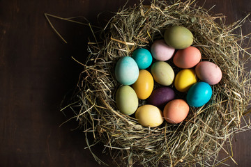 Happy Easter! Colorful easter eggs in a nest
