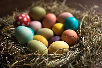 Naklejka na ściany i meble Happy Easter! Colorful easter eggs in a nest