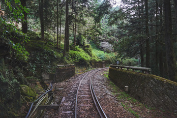 Alishan Forest Railway in Taiwan