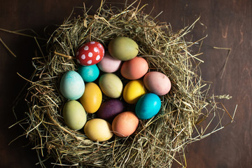 Happy Easter! Colorful easter eggs in a nest