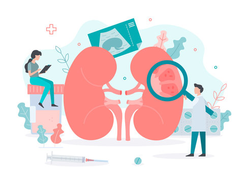The health of the kidneys. Treatment of pyelonephritis. Medical concept. Flat vector illustration.