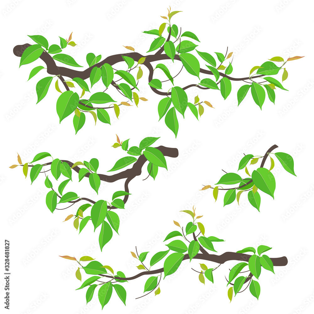 Wall mural tree branches set vector flat
