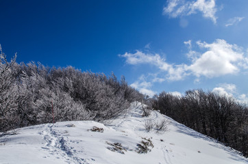 Bieszczady zimą połoniny