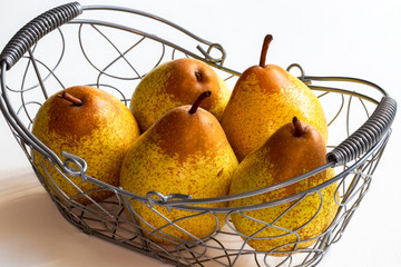 Poires Rocha, variété portugaise, dans corbeille métallique sur fond blanc