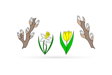 Outline willow, narcissus, tulip set icon isolated on white, doodle kids hand drawing art line, sketch eco logo, sticker, vector stock illustration