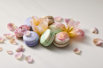 assorted delicious french macaroons with floral petals on grey background
