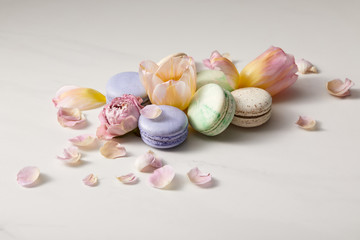 assorted delicious french macaroons with floral petals on grey background