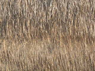 Straw is a sheet stacked into walls and roofs for backgrounds and textures.