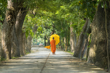 Monks in saffron robe and umbrella walking on rural road among trees in Mekong Delta, Vietnam