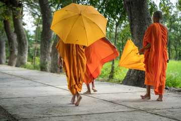 Monks in saffron robe and umbrella walking on rural road among trees in Mekong Delta, Vietnam