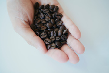コーヒー 豆