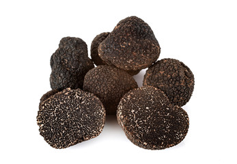 Tuber melanosporum in studio
