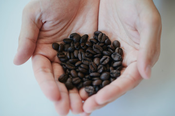コーヒー 豆