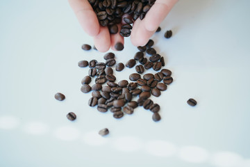 コーヒー 豆