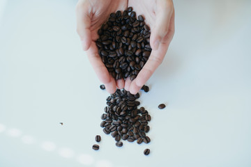 コーヒー 豆