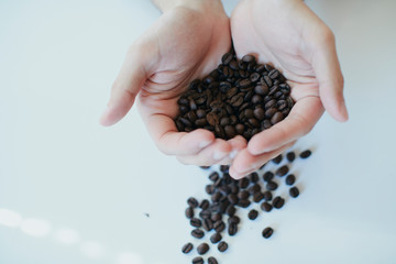 コーヒー 豆